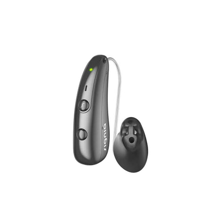 Graphite colored hearing aid 